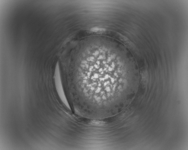 X0000068890617200605192137