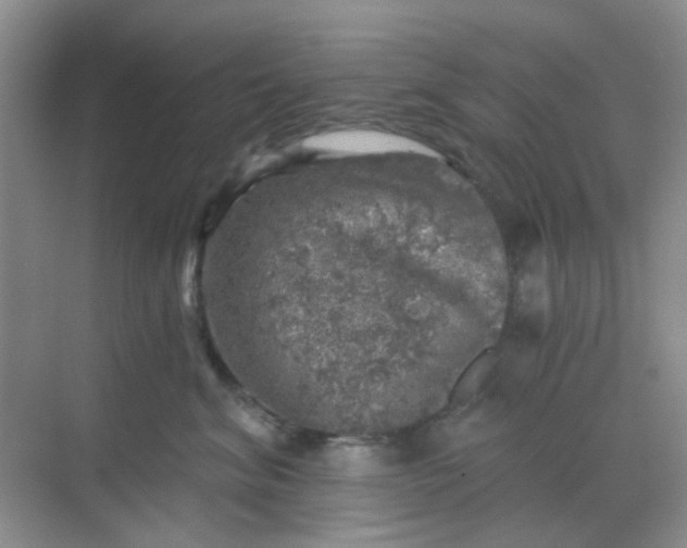 X0000068890620200605192136