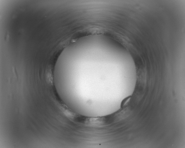 X0000068890622200605192136