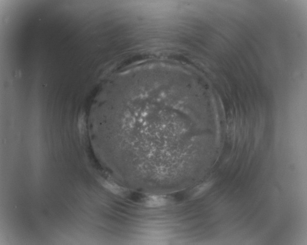 X0000068890623200605192136