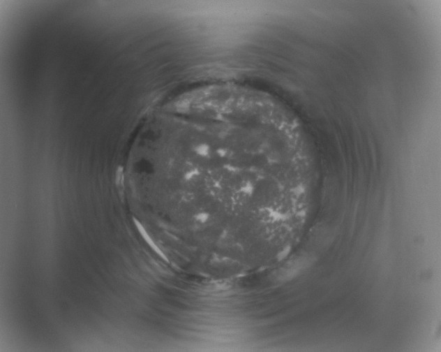 X0000068890624200605192136