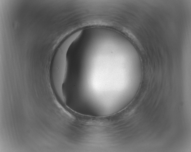 X0000068890625200605192136