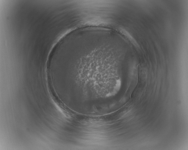 X0000068890626200605192136