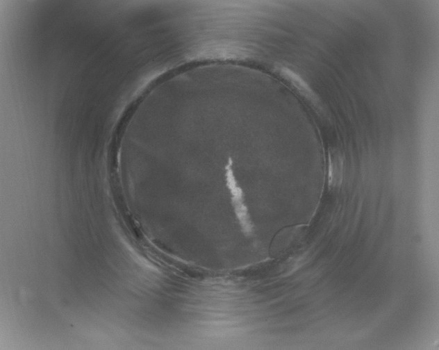 X0000068890627200605192136