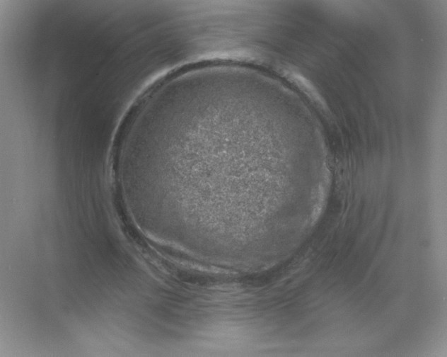 X0000068890628200605192136