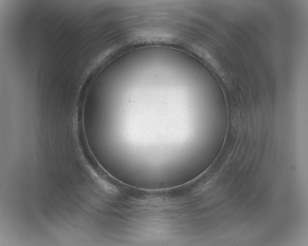 X0000068890629200605192136