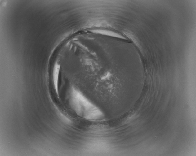 X0000068890630200605192136