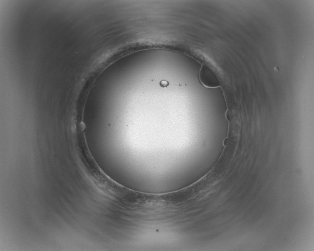 X0000068890631200605192136