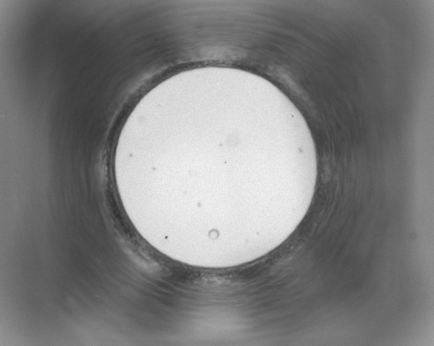 X0000068890632200605192136