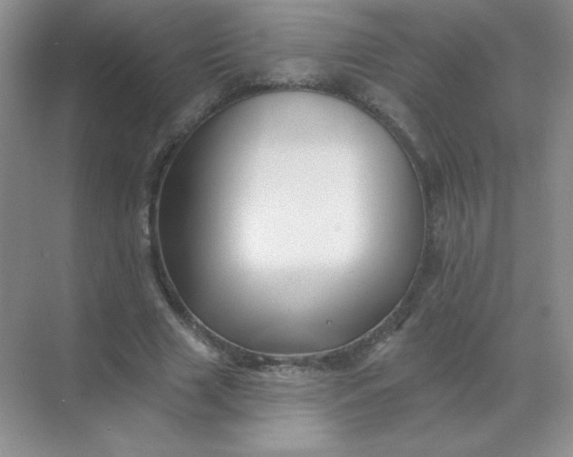 X0000068890633200605192136