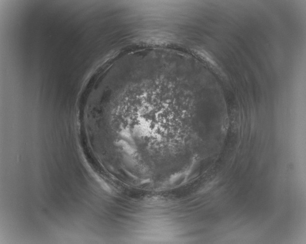 X0000068890634200605192136