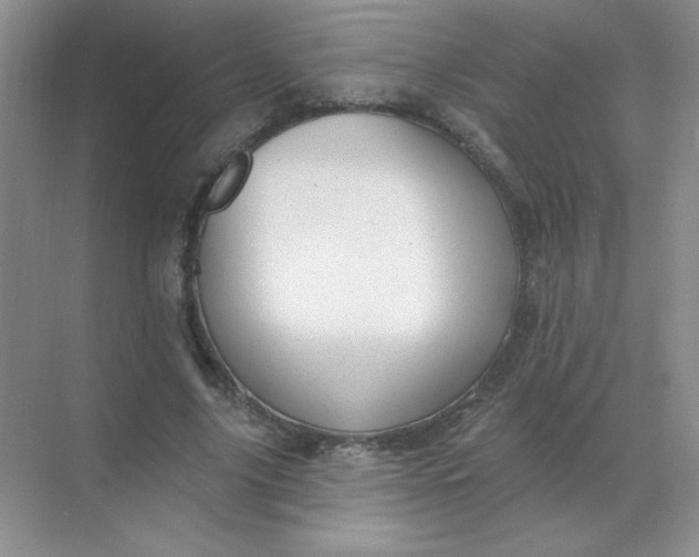 X0000068890635200605192136