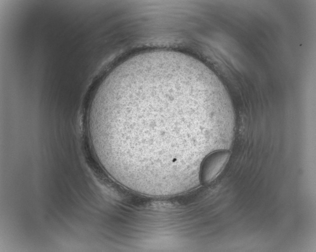 X0000068890636200605192136