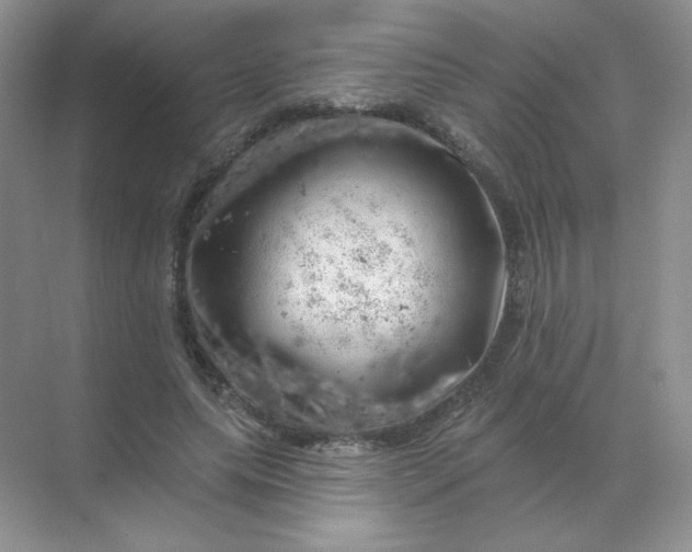 X0000068890639200605192136