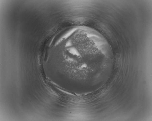 X0000068890641200605192136