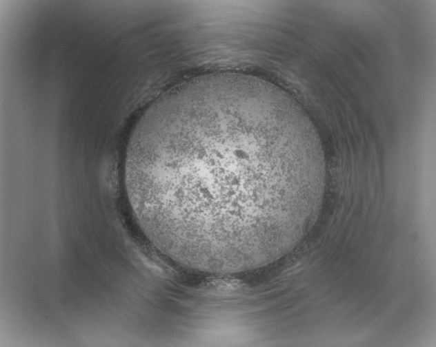 X0000068890642200605192136