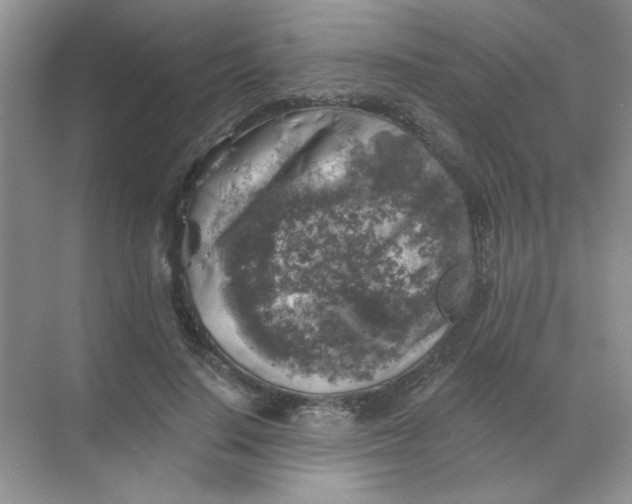 X0000068890644200605192136