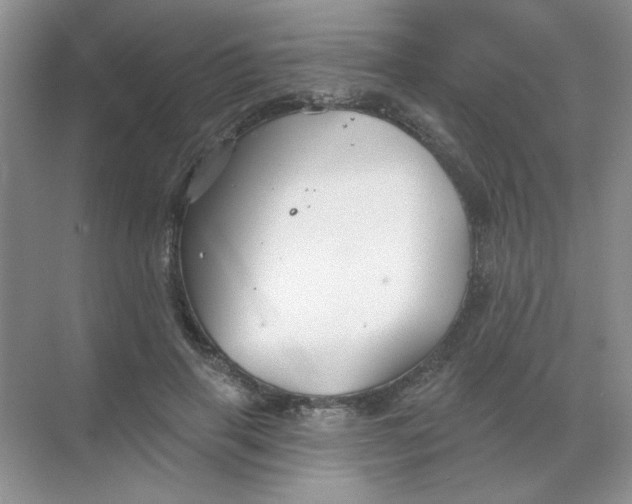 X0000068890645200605192136