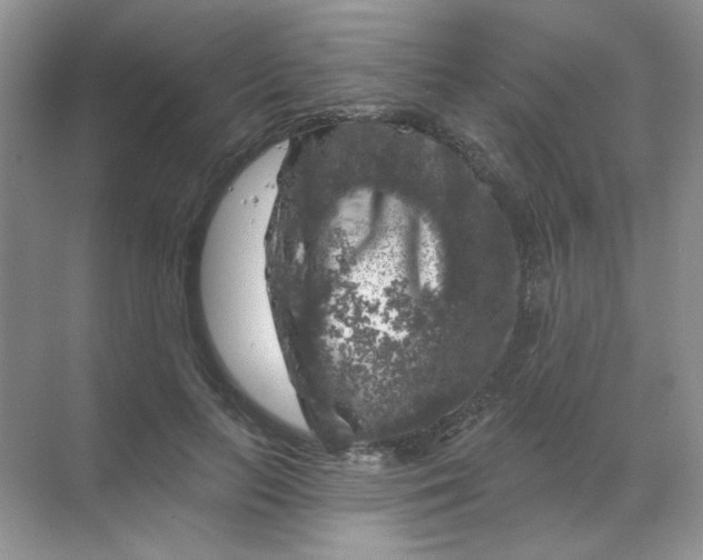 X0000068890647200605192136