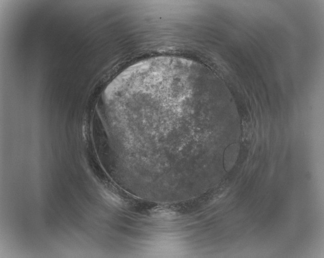 X0000068890648200605192136