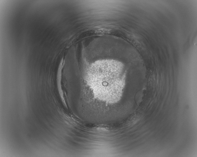 X0000068890649200605192136