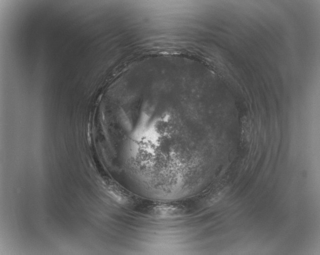 X0000068890650200605192136