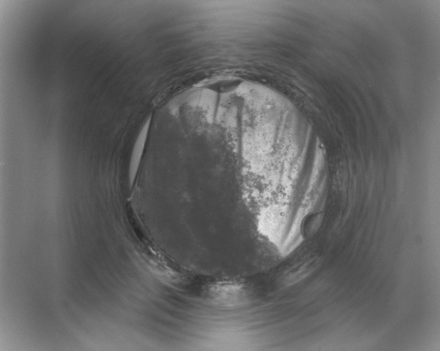 X0000068890651200605192136