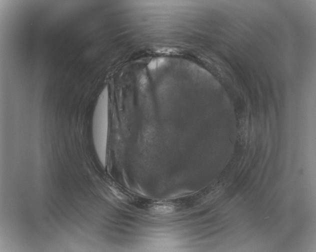 X0000068890653200605192136