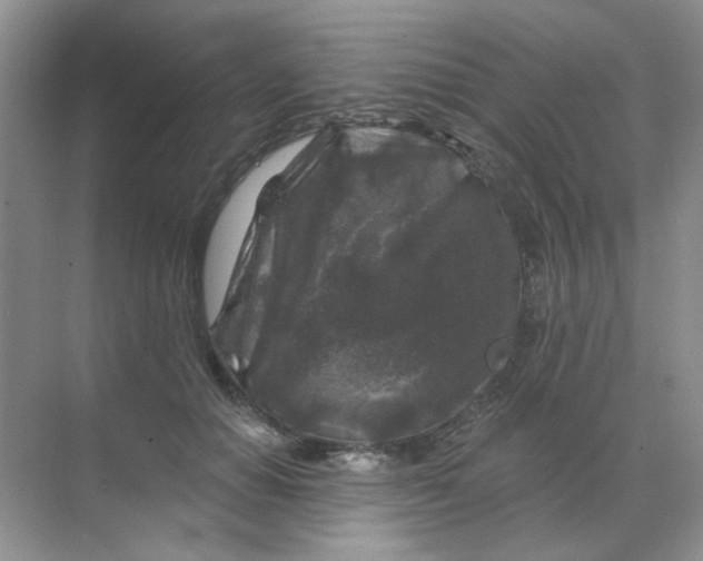 X0000068890654200605192136