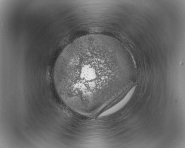 X0000068890655200605192136