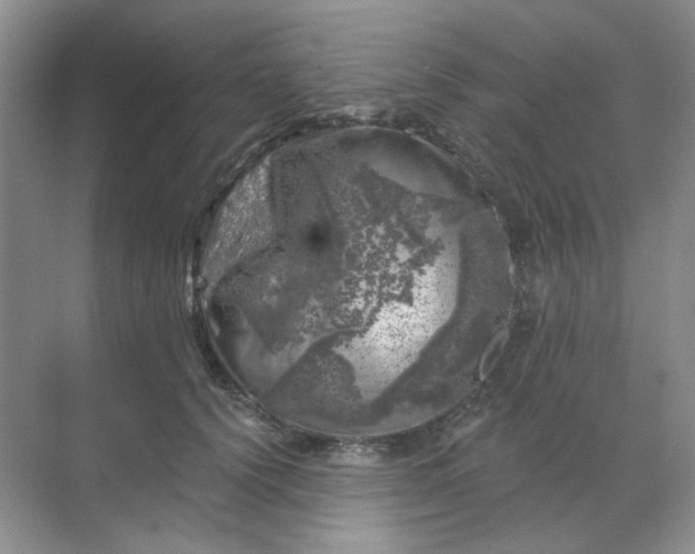 X0000068890656200605192136