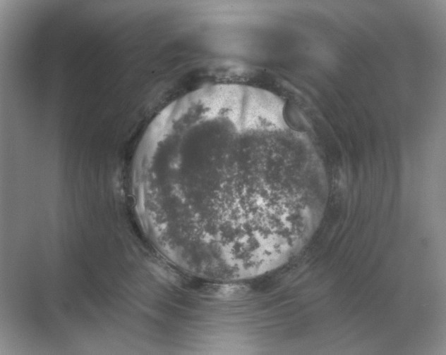 X0000068890663200605192136