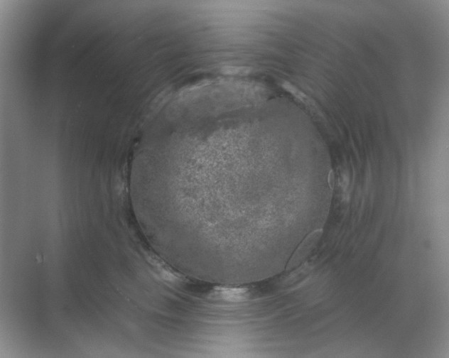 X0000068890665200605192136