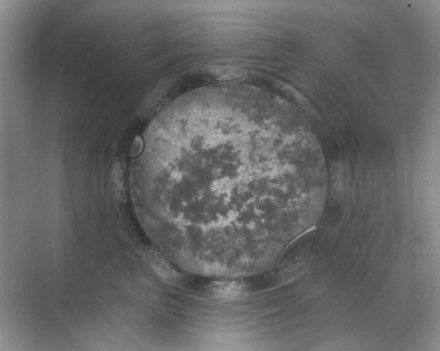 X0000068890667200605192136