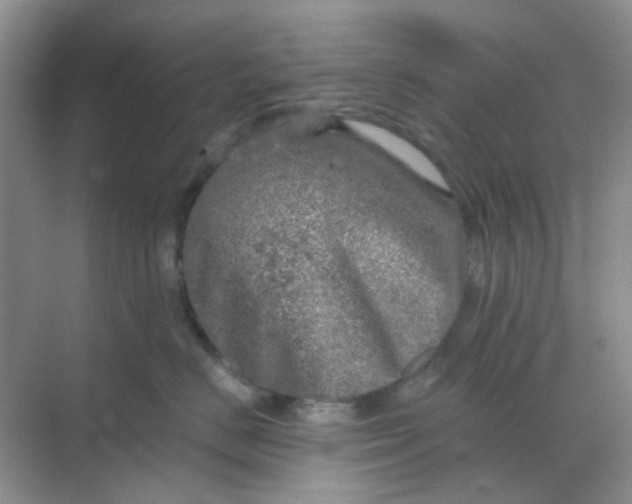 X0000068890670200605192136