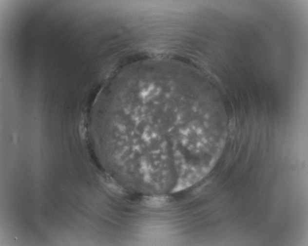 X0000068890671200605192136