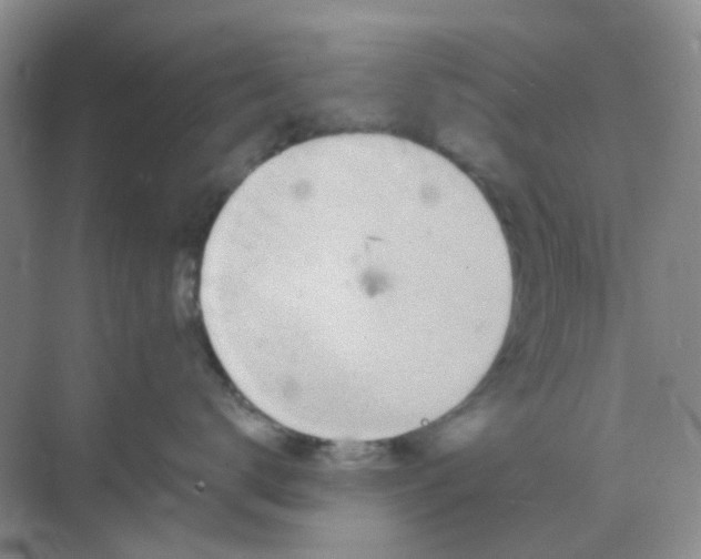 X0000068890672200605192136