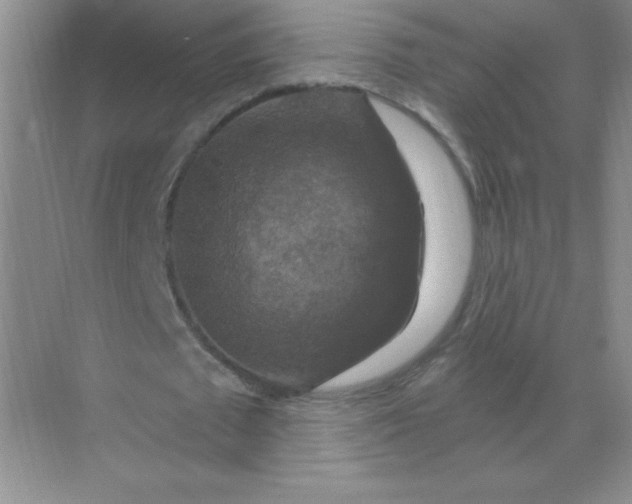 X0000068890673200605192136