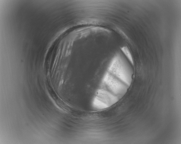 X0000068890674200605192136