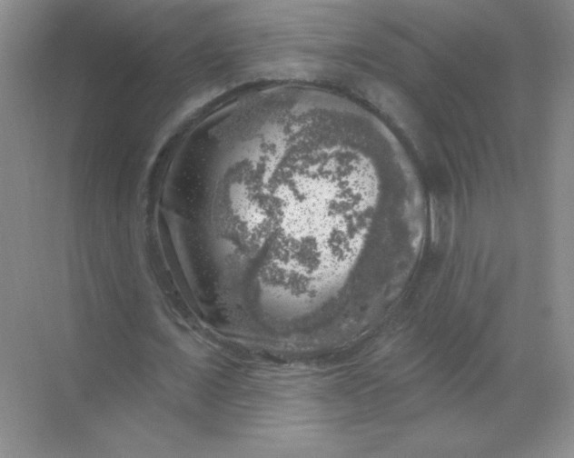 X0000068890675200605192136