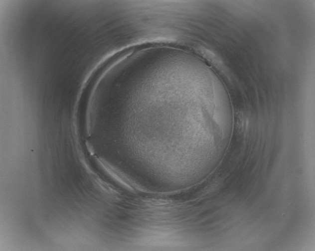 X0000068890676200605192136