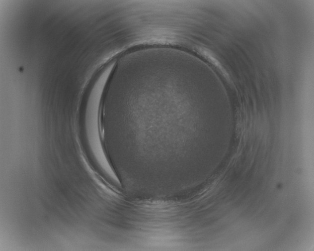 X0000068890677200605192136