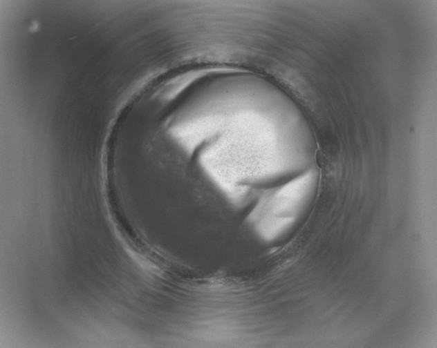 X0000068890678200605192136