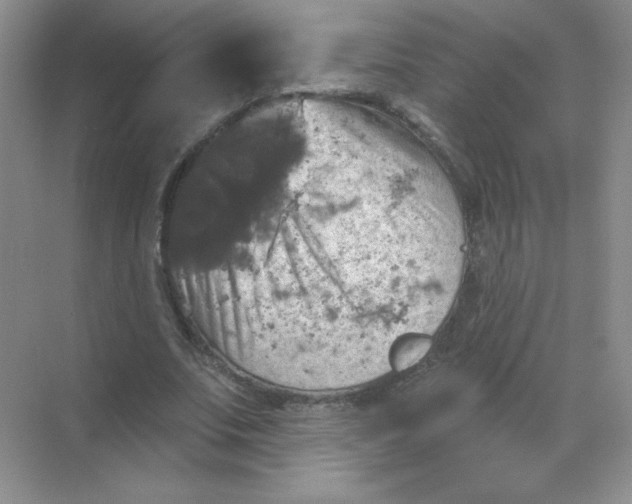 X0000068890679200605192135