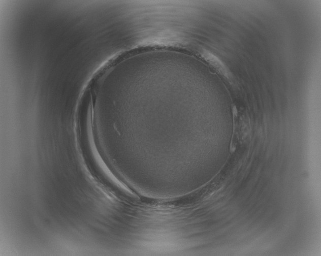 X0000068890680200605192135