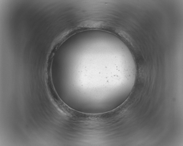 X0000068890682200605192135