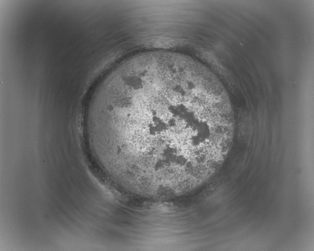 X0000068890683200605192135