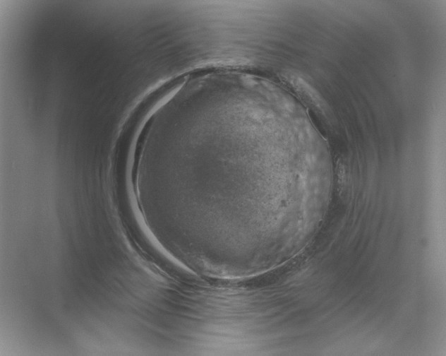 X0000068890684200605192135