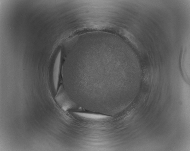 X0000068890685200605192135