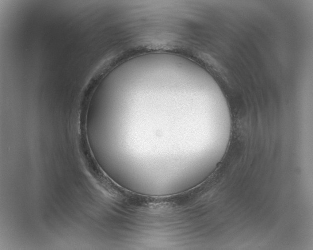 X0000068890686200605192135